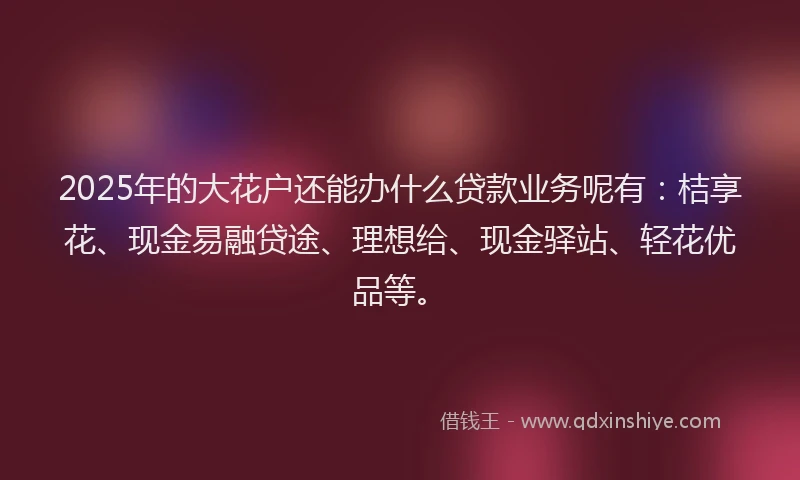 2025年的大花户还能办什么贷款业务呢有：桔享花、现金易融贷途、理想给、现金驿站、轻花优品等。