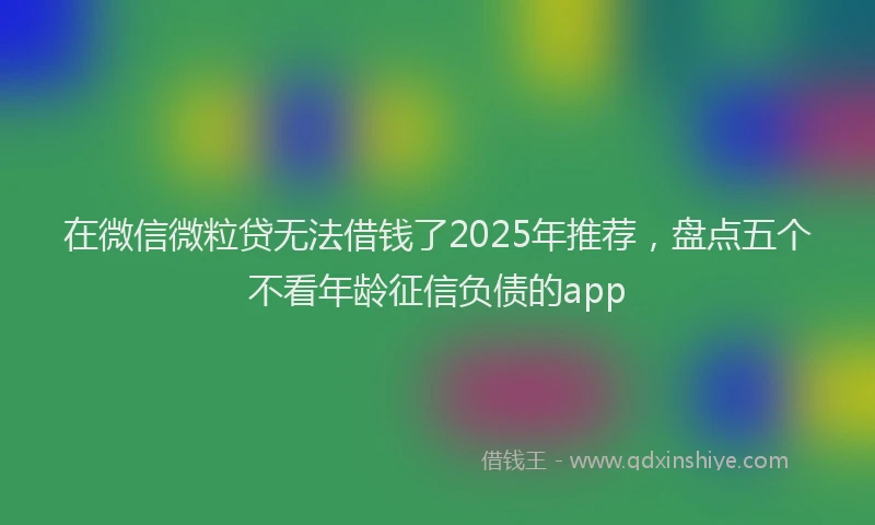 在微信微粒贷无法借钱了2025年推荐，盘点五个不看年龄征信负债的app