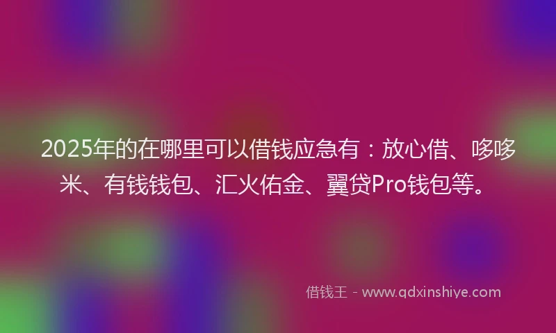 2025年的在哪里可以借钱应急有：放心借、哆哆米、有钱钱包、汇火佑金、翼贷Pro钱包等。