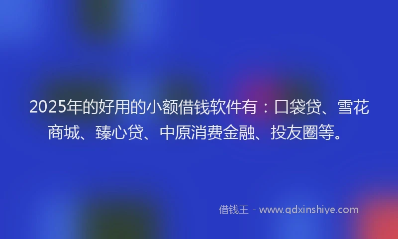 2025年的好用的小额借钱软件有：口袋贷、雪花商城、臻心贷、中原消费金融、投友圈等。