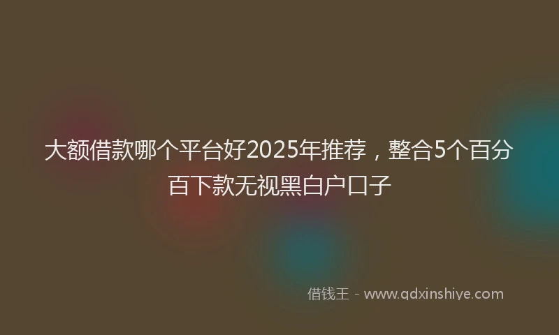 大额借款哪个平台好2025年推荐，整合5个百分百下款无视黑白户口子