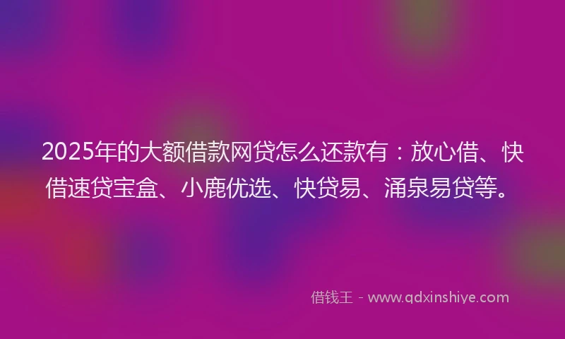 2025年的大额借款网贷怎么还款有：放心借、快借速贷宝盒、小鹿优选、快贷易、涌泉易贷等。