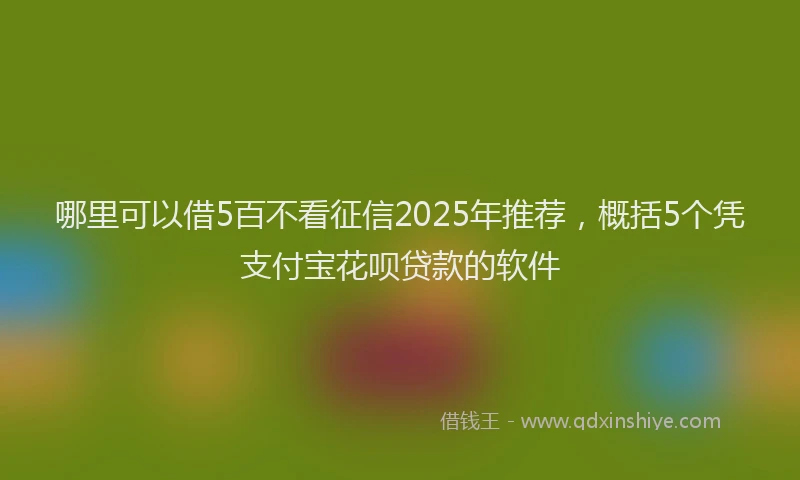 哪里可以借5百不看征信2025年推荐，概括5个凭支付宝花呗贷款的软件