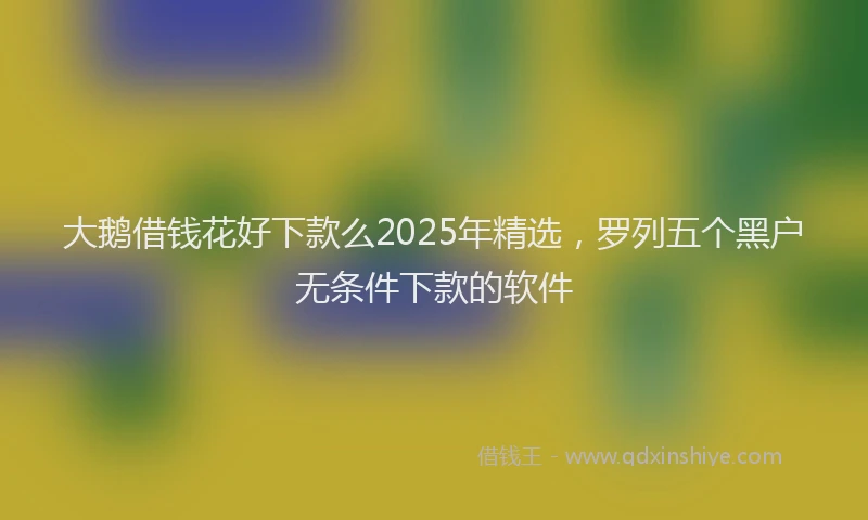 大鹅借钱花好下款么2025年精选，罗列五个黑户无条件下款的软件