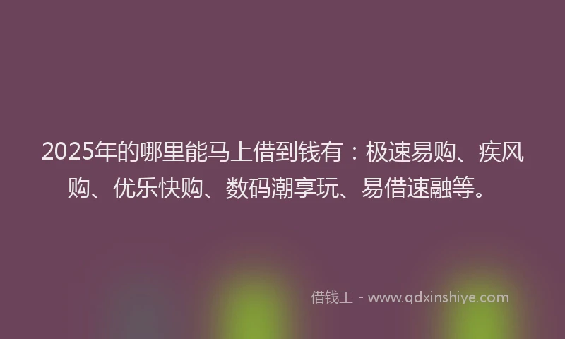 2025年的哪里能马上借到钱有：极速易购、疾风购、优乐快购、数码潮享玩、易借速融等。