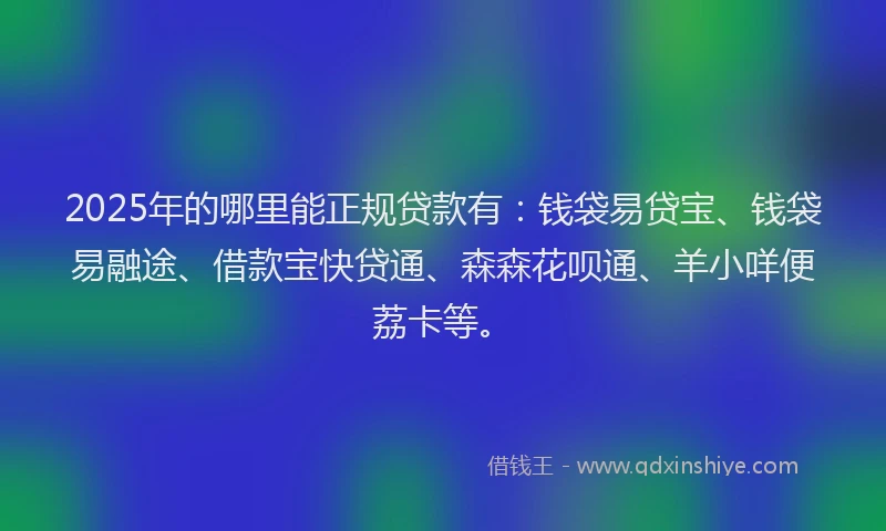 2025年的哪里能正规贷款有：钱袋易贷宝、钱袋易融途、借款宝快贷通、森森花呗通、羊小咩便荔卡等。