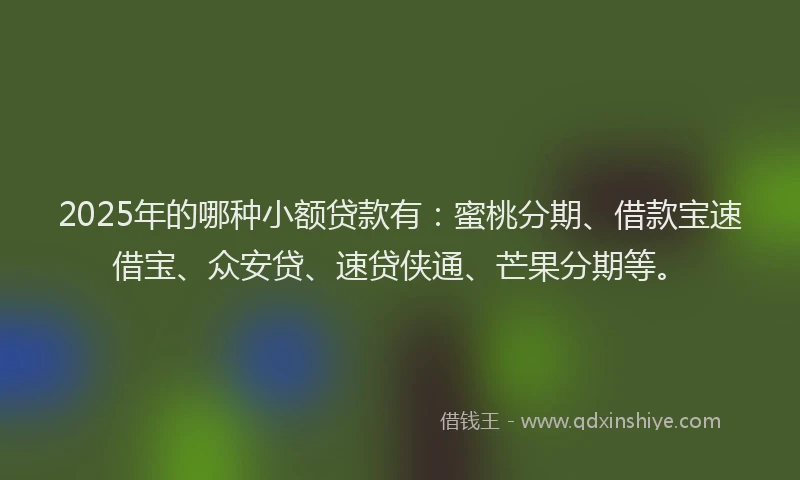 2025年的哪种小额贷款有：蜜桃分期、借款宝速借宝、众安贷、速贷侠通、芒果分期等。