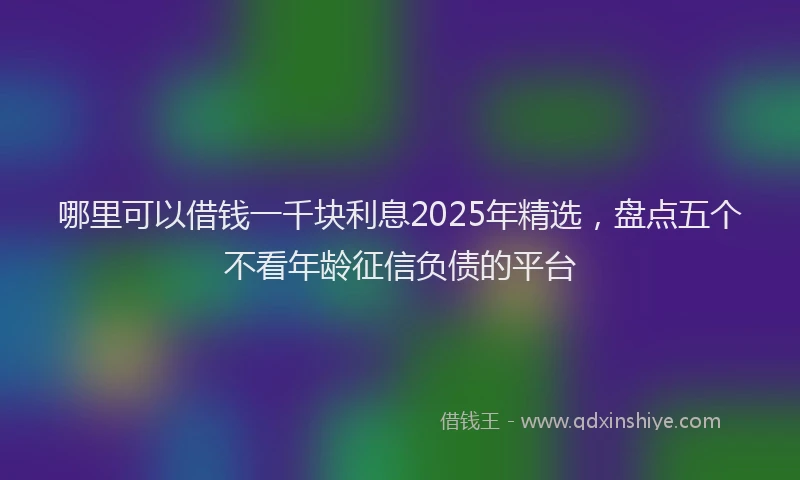 哪里可以借钱一千块利息2025年精选，盘点五个不看年龄征信负债的平台