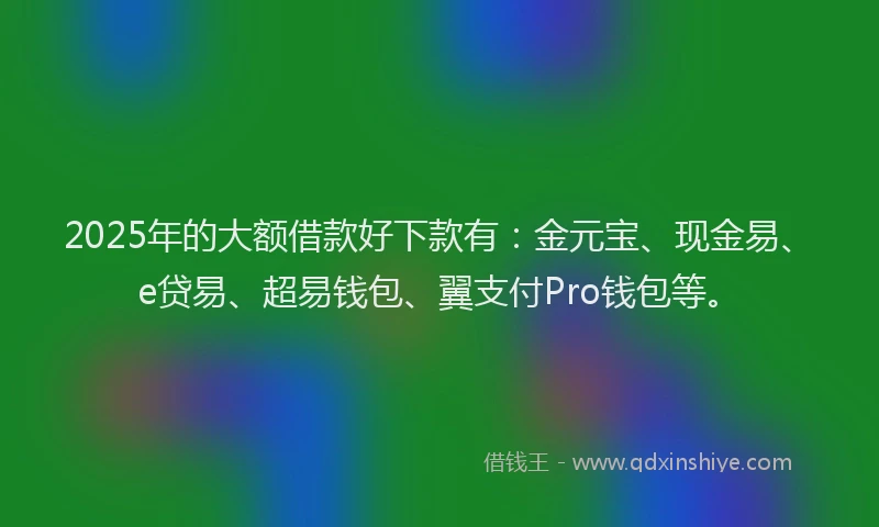 2025年的大额借款好下款有：金元宝、现金易、e贷易、超易钱包、翼支付Pro钱包等。