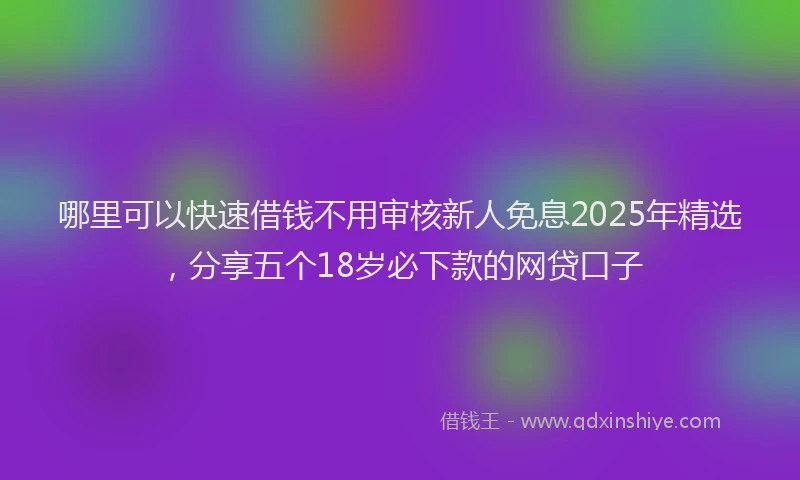 哪里可以快速借钱不用审核新人免息2025年精选，分享五个18岁必下款的网贷口子