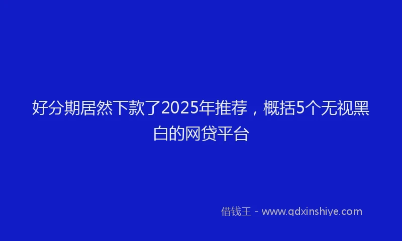 好分期居然下款了2025年推荐，概括5个无视黑白的网贷平台