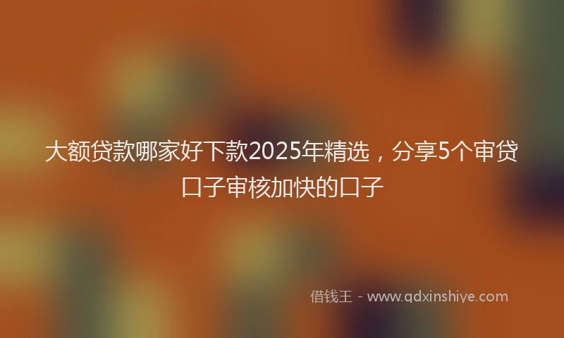 大额贷款哪家好下款2025年精选，分享5个审贷口子审核加快的口子