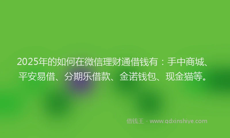 2025年的如何在微信理财通借钱有：手中商城、平安易借、分期乐借款、金诺钱包、现金猫等。