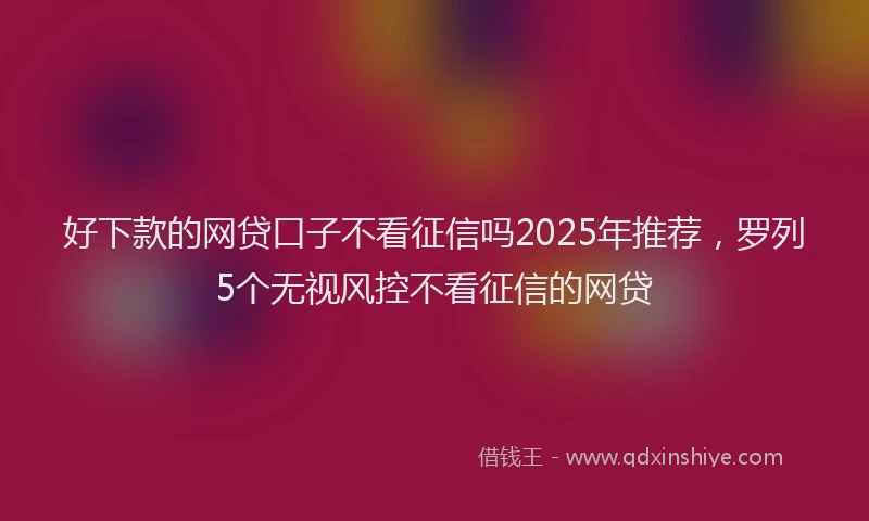 好下款的网贷口子不看征信吗2025年推荐，罗列5个无视风控不看征信的网贷
