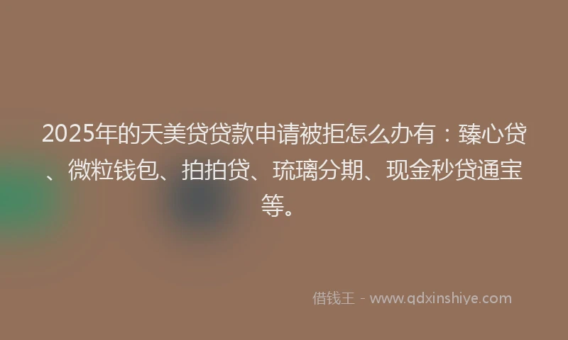 2025年的天美贷贷款申请被拒怎么办有：臻心贷、微粒钱包、拍拍贷、琉璃分期、现金秒贷通宝等。