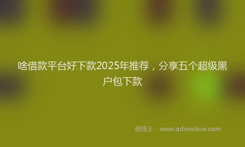 啥借款平台好下款2025年推荐，分享五个超级黑户包下款