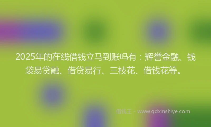 2025年的在线借钱立马到账吗有：辉誉金融、钱袋易贷融、借贷易行、三枝花、借钱花等。