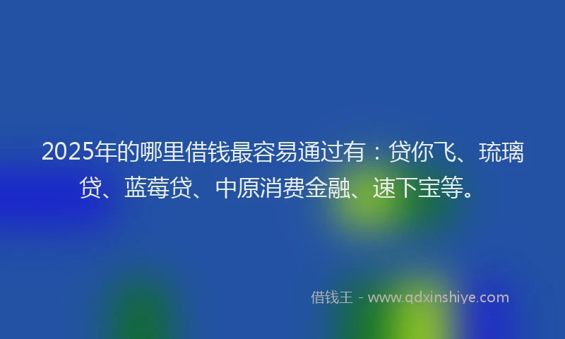 2025年的哪里借钱最容易通过有：贷你飞、琉璃贷、蓝莓贷、中原消费金融、速下宝等。