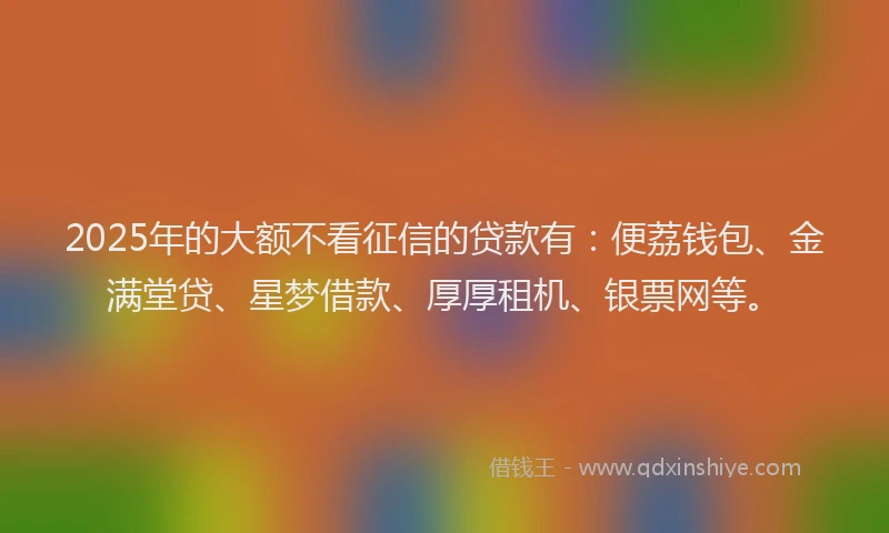 2025年的大额不看征信的贷款有：便荔钱包、金满堂贷、星梦借款、厚厚租机、银票网等。