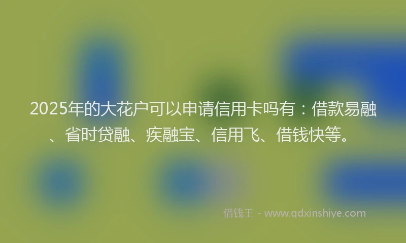 2025年的大花户可以申请信用卡吗有：借款易融、省时贷融、疾融宝、信用飞、借钱快等。