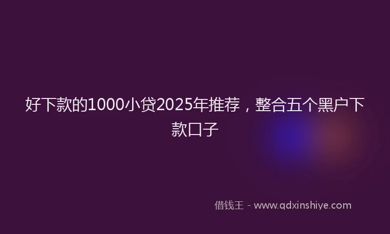 好下款的1000小贷2025年推荐，整合五个黑户下款口子