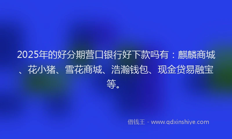 2025年的好分期营口银行好下款吗有：麒麟商城、花小猪、雪花商城、浩瀚钱包、现金贷易融宝等。
