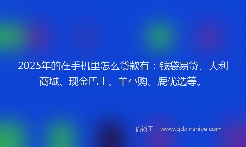 2025年的在手机里怎么贷款有：钱袋易贷、大利商城、现金巴士、羊小购、鹿优选等。