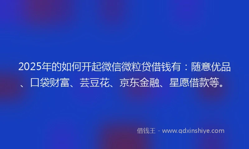 2025年的如何开起微信微粒贷借钱有：随意优品、口袋财富、芸豆花、京东金融、星愿借款等。