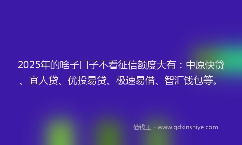 2025年的啥子口子不看征信额度大有：中原快贷、宜人贷、优投易贷、极速易借、智汇钱包等。