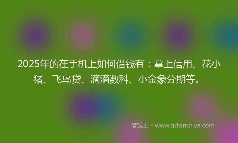 2025年的在手机上如何借钱有：掌上信用、花小猪、飞鸟贷、滴滴数科、小金象分期等。