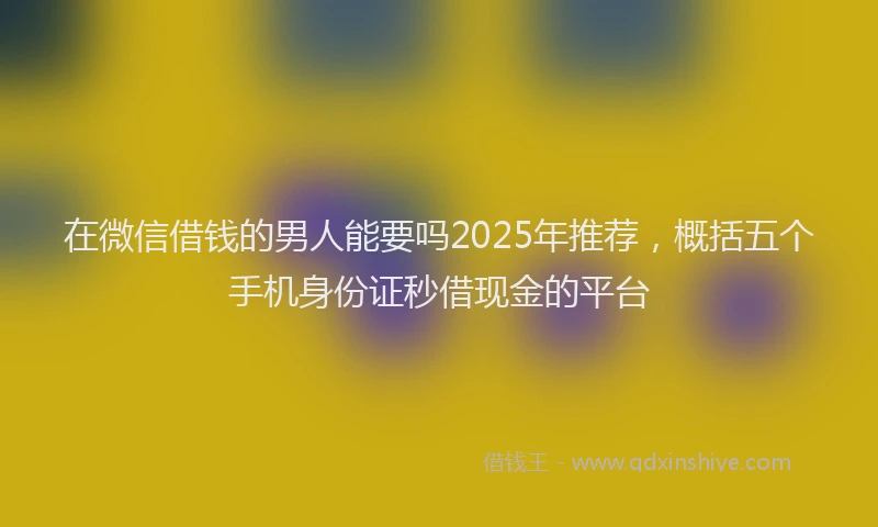 在微信借钱的男人能要吗2025年推荐，概括五个手机身份证秒借现金的平台