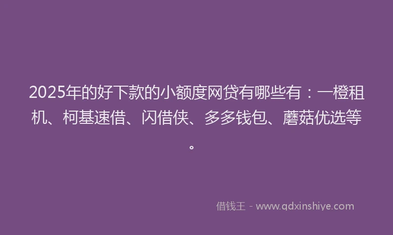 2025年的好下款的小额度网贷有哪些有：一橙租机、柯基速借、闪借侠、多多钱包、蘑菇优选等。