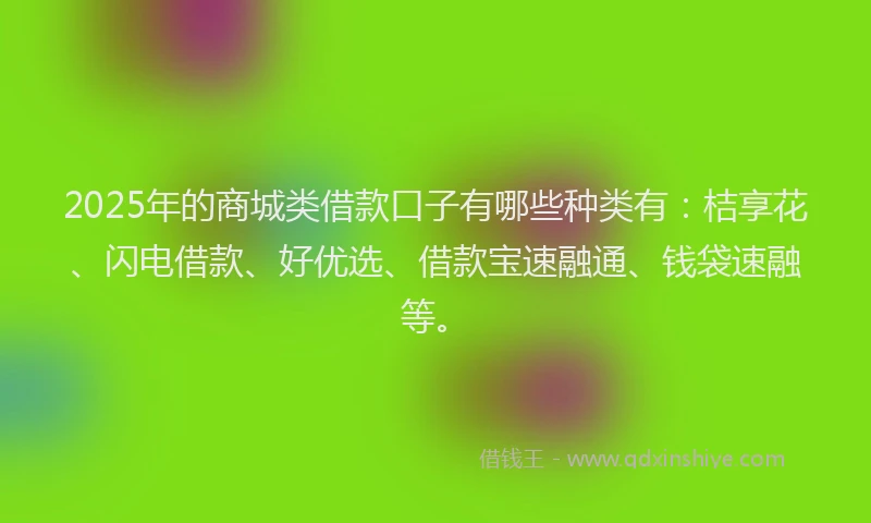 2025年的商城类借款口子有哪些种类有：桔享花、闪电借款、好优选、借款宝速融通、钱袋速融等。