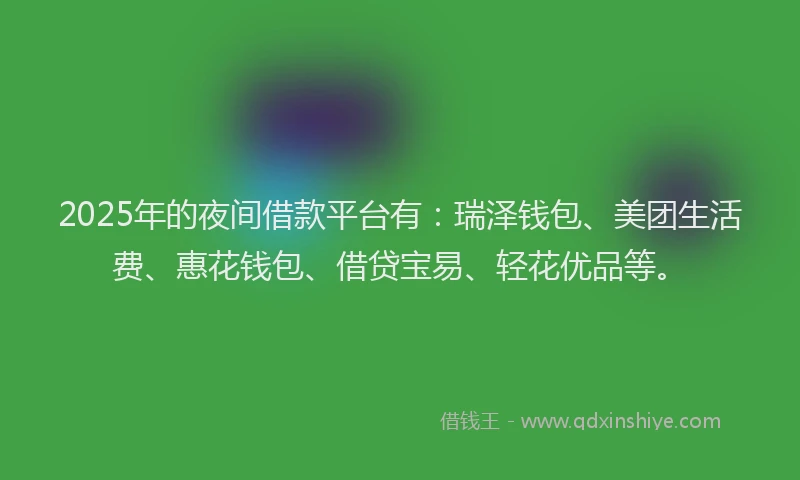 2025年的夜间借款平台有：瑞泽钱包、美团生活费、惠花钱包、借贷宝易、轻花优品等。