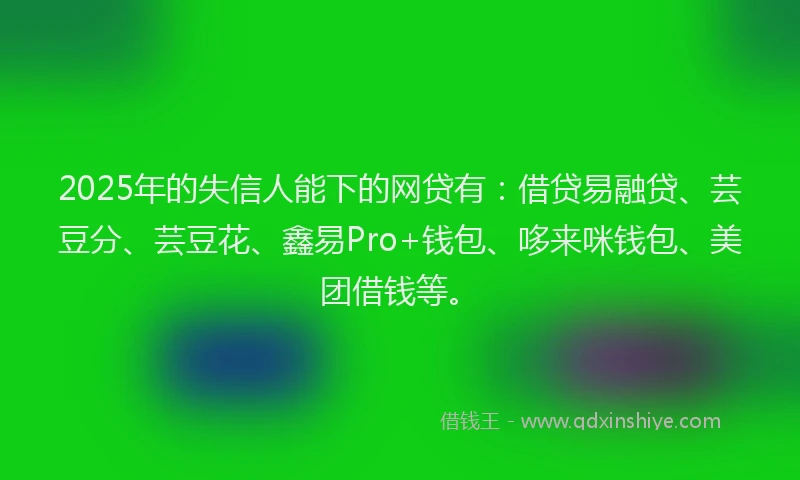 2025年的失信人能下的网贷有：借贷易融贷、芸豆分、芸豆花、鑫易Pro+钱包、哆来咪钱包、美团借钱等。