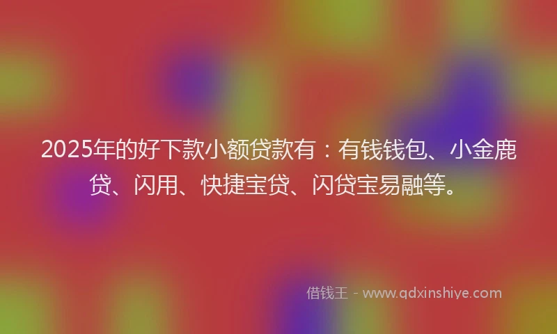 2025年的好下款小额贷款有：有钱钱包、小金鹿贷、闪用、快捷宝贷、闪贷宝易融等。