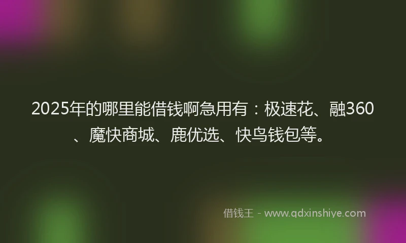 2025年的哪里能借钱啊急用有：极速花、融360、魔快商城、鹿优选、快鸟钱包等。