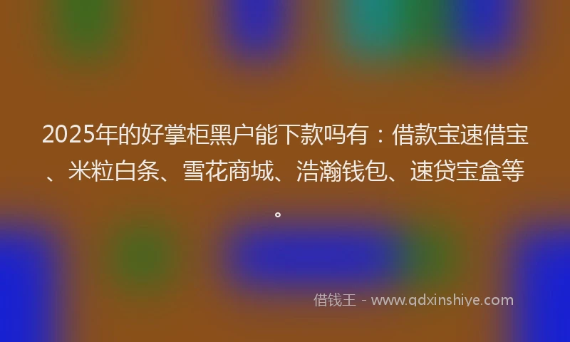 2025年的好掌柜黑户能下款吗有：借款宝速借宝、米粒白条、雪花商城、浩瀚钱包、速贷宝盒等。