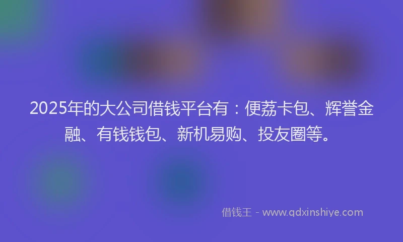 2025年的大公司借钱平台有：便荔卡包、辉誉金融、有钱钱包、新机易购、投友圈等。