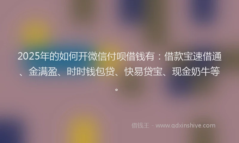 2025年的如何开微信付呗借钱有：借款宝速借通、金满盈、时时钱包贷、快易贷宝、现金奶牛等。