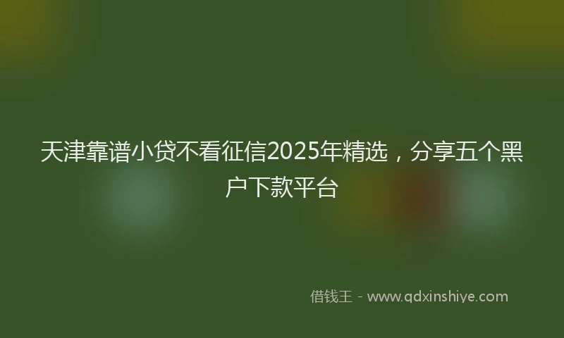 天津靠谱小贷不看征信2025年精选，分享五个黑户下款平台