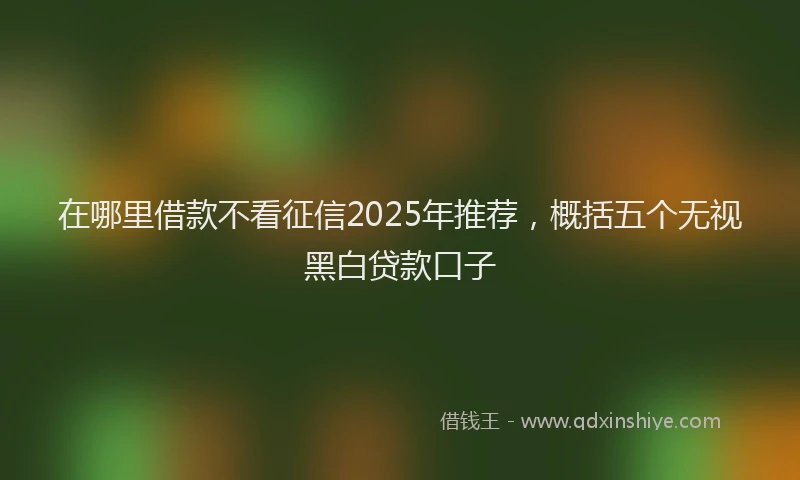 在哪里借款不看征信2025年推荐，概括五个无视黑白贷款口子
