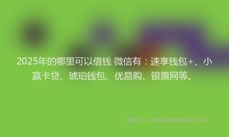 2025年的哪里可以借钱 微信有：速享钱包+、小赢卡贷、琥珀钱包、优易购、银票网等。