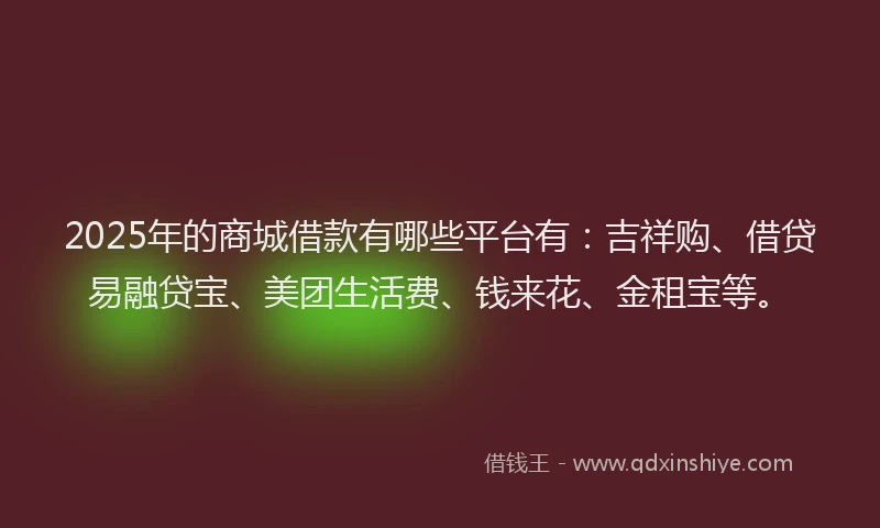 2025年的商城借款有哪些平台有：吉祥购、借贷易融贷宝、美团生活费、钱来花、金租宝等。