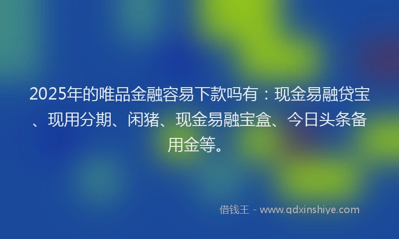2025年的唯品金融容易下款吗有：现金易融贷宝、现用分期、闲猪、现金易融宝盒、今日头条备用金等。