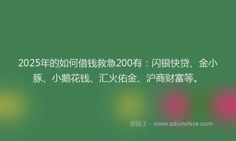 2025年的如何借钱救急200有：闪银快贷、金小豚、小鹅花钱、汇火佑金、沪商财富等。