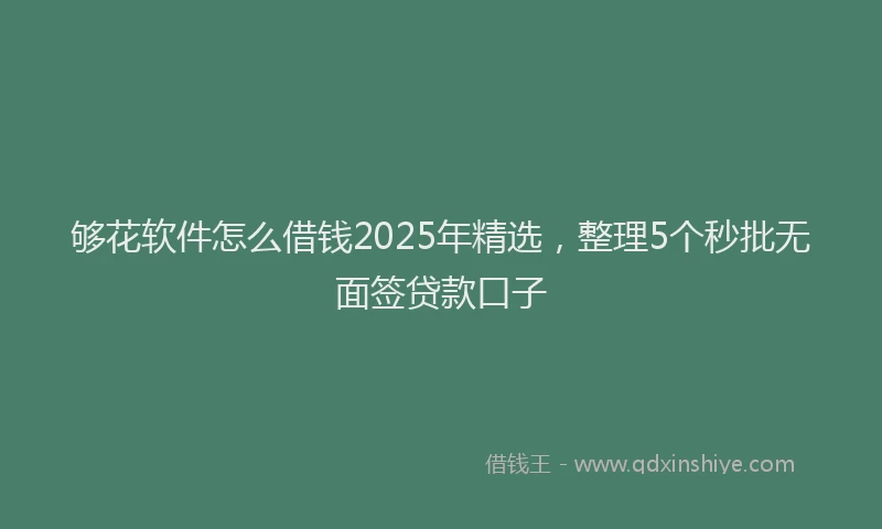够花软件怎么借钱2025年精选，整理5个秒批无面签贷款口子