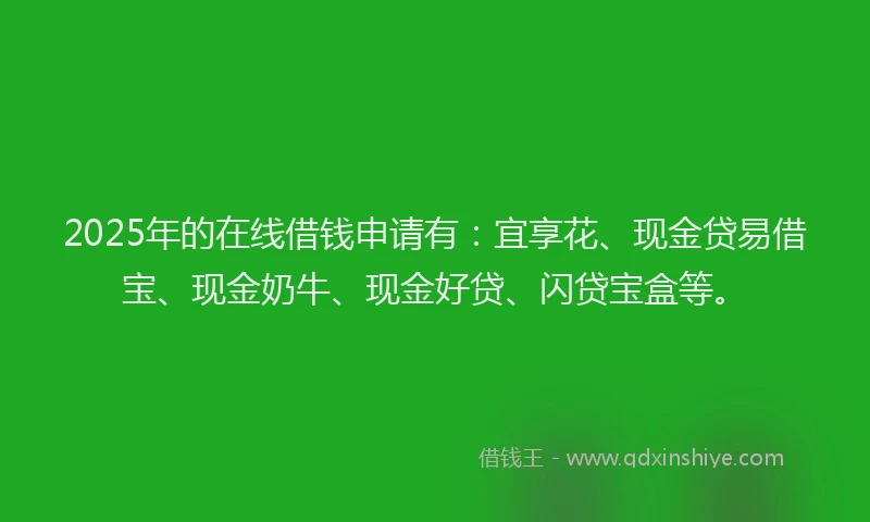 2025年的在线借钱申请有：宜享花、现金贷易借宝、现金奶牛、现金好贷、闪贷宝盒等。