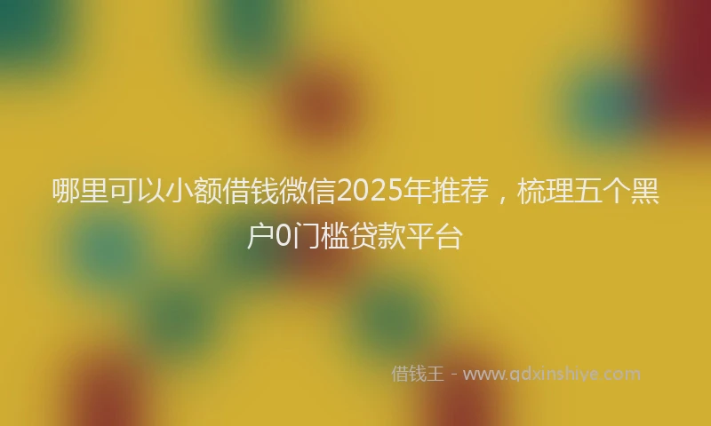 哪里可以小额借钱微信2025年推荐，梳理五个黑户0门槛贷款平台