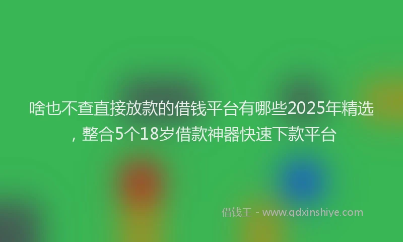 啥也不查直接放款的借钱平台有哪些2025年精选，整合5个18岁借款神器快速下款平台